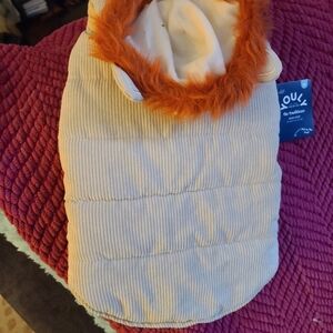 Adorable Lion Dog Winter Coat